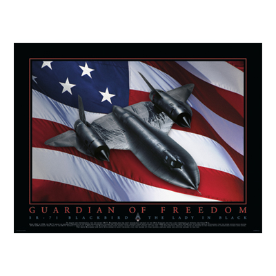 <i>NEW!</i> Commemorative Guardian Of Freedom Lithograph